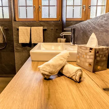 Arcade & Apartment Saas-Fee