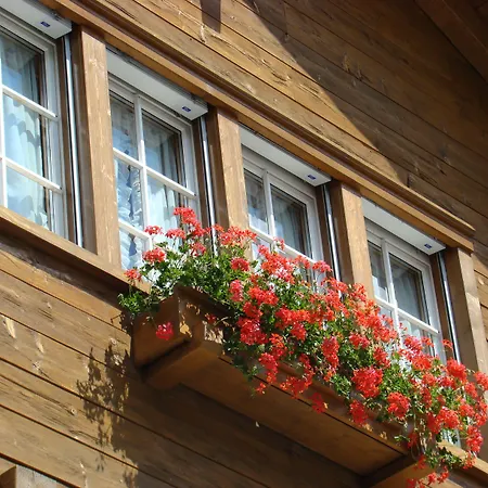 Апартаменты Arcade &