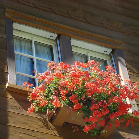 Arcade & Appartement