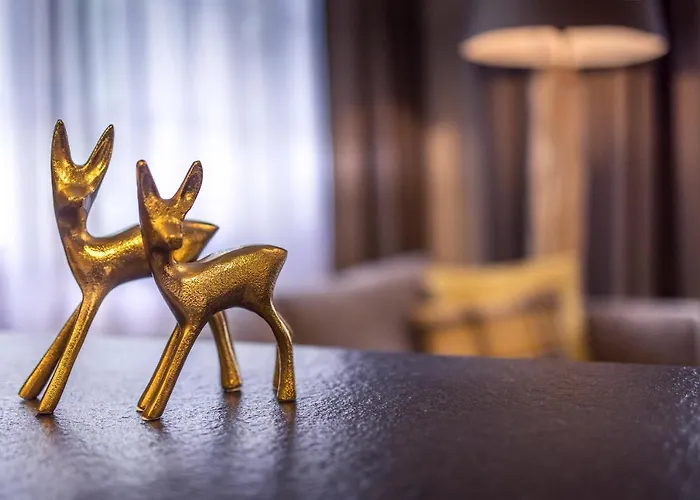 Arcade & Appartement *