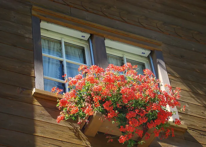 Arcade & Appartement